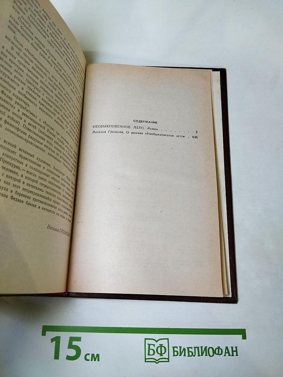 Необыкновенное лето