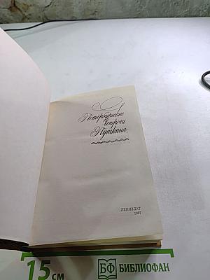 Петербургские встречи Пушкина
