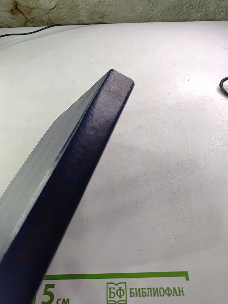 Избранные сочинения кавалерист-девицы Н. А. Дуровой