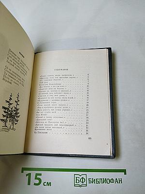 Первый гром