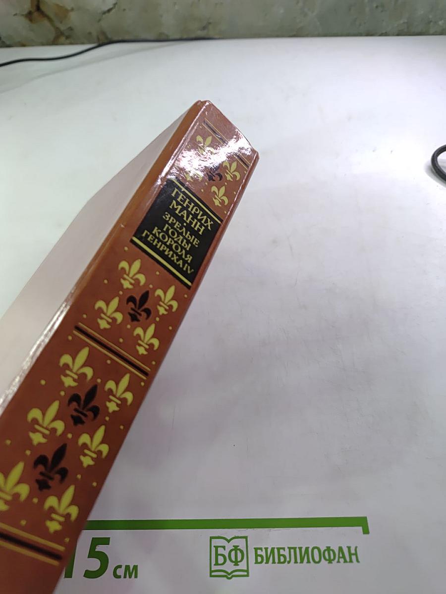 Зрелые годы короля Генриха IV