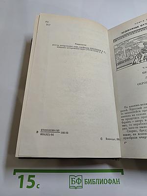 Тень Желтого Дракона