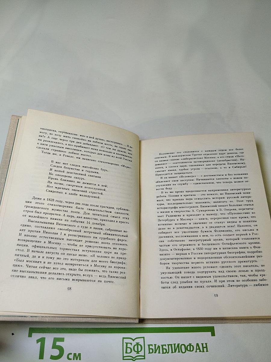 П. А. Вяземский. Лирика