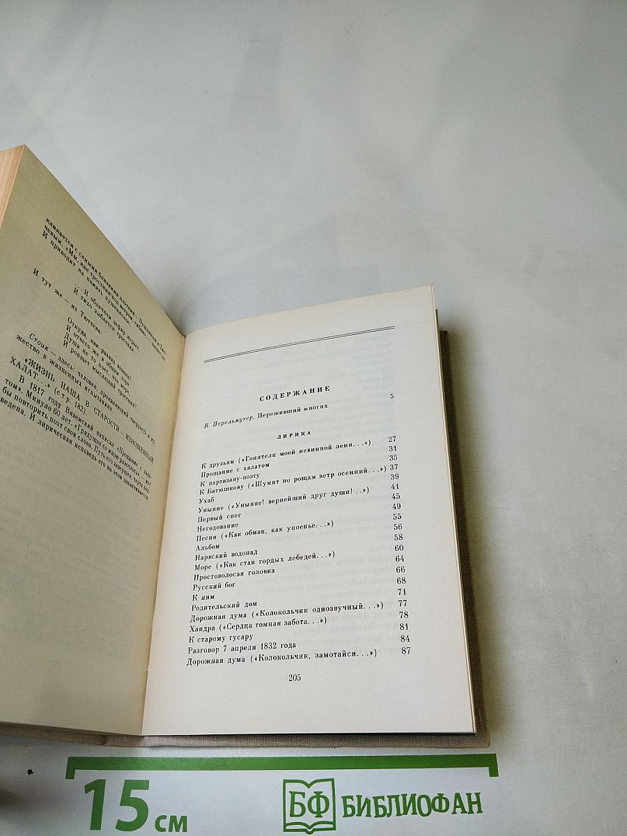 П. А. Вяземский. Лирика