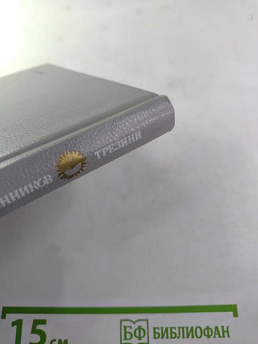 Доминико Трезини