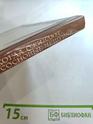 Когда оживают сосновые чешуйки