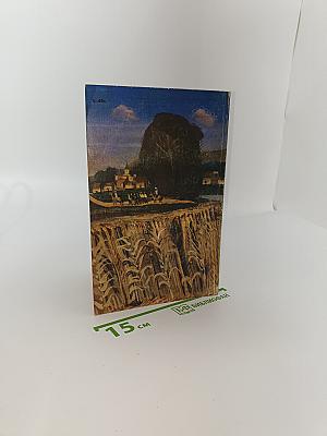 Корни