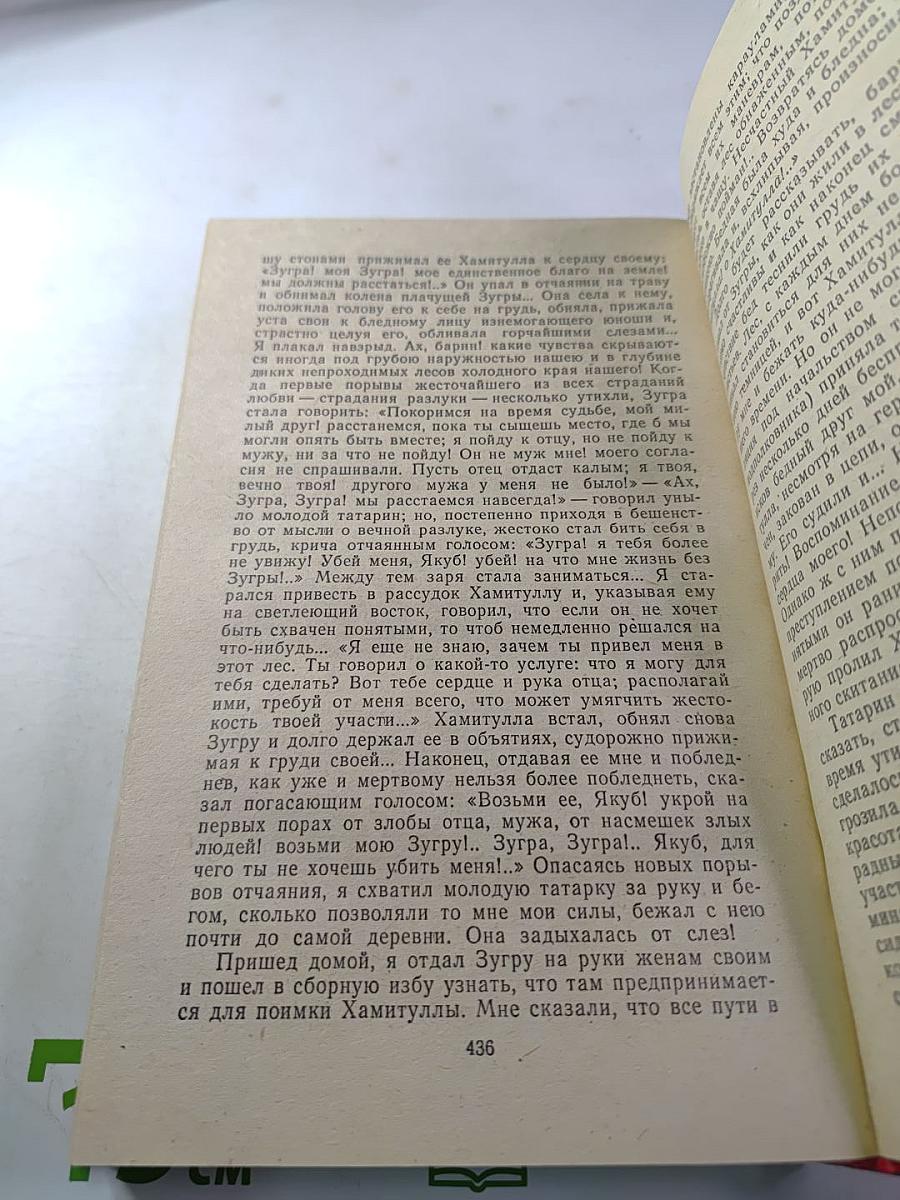 Дневник партизанских действий 1812 г. / Записки кавалерист-девицы