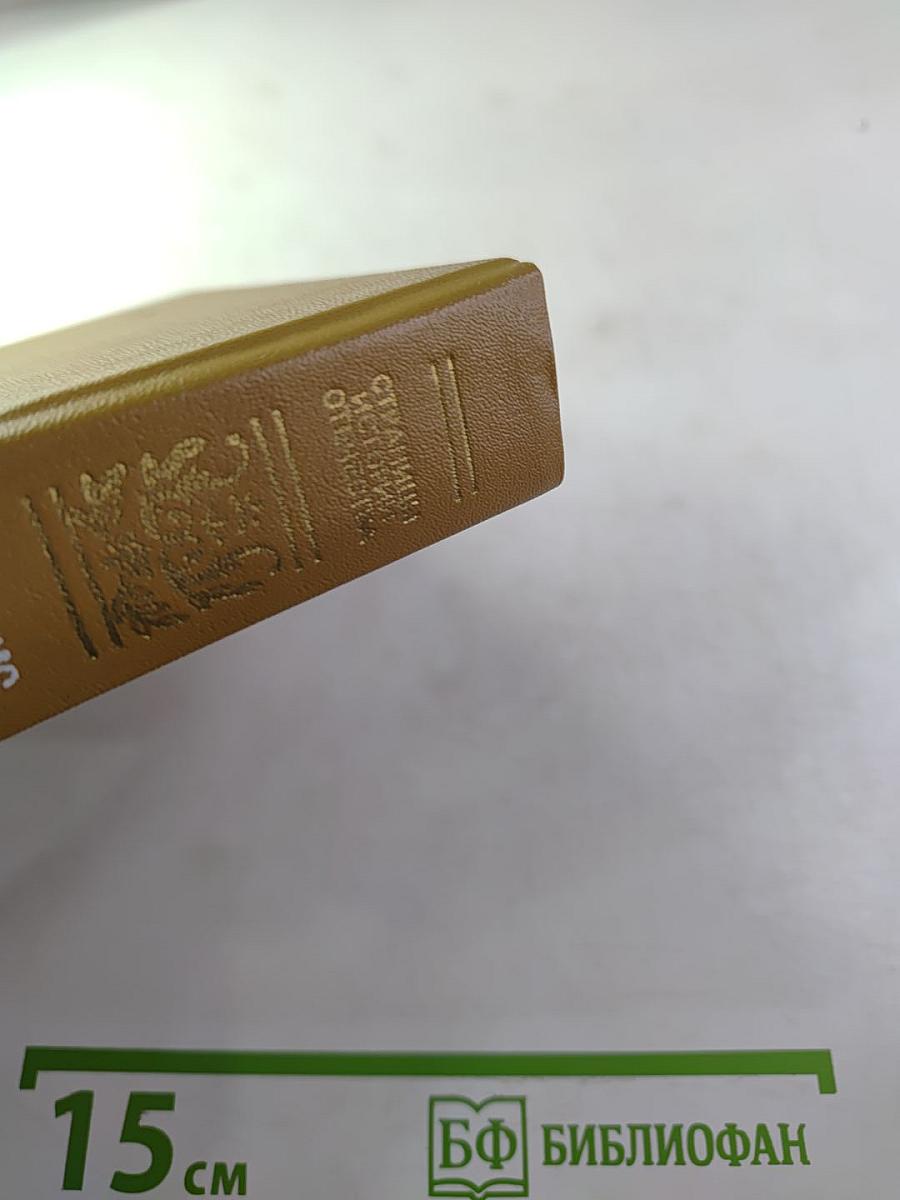 Дневник партизанских действий 1812 г. / Записки кавалерист-девицы