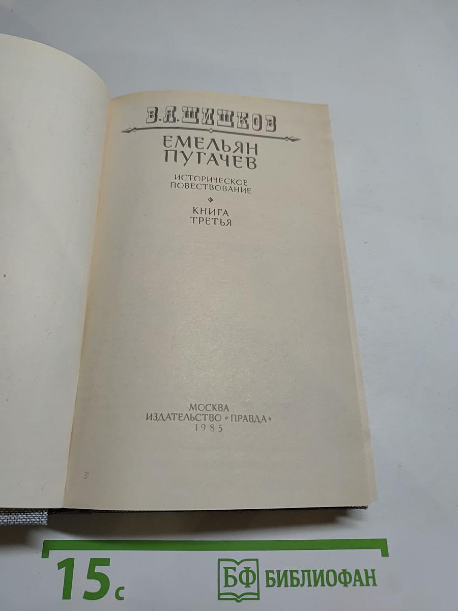 Емельян Пугачев. Книга третья