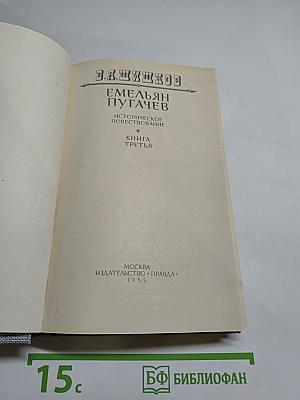 Емельян Пугачев. Книга третья