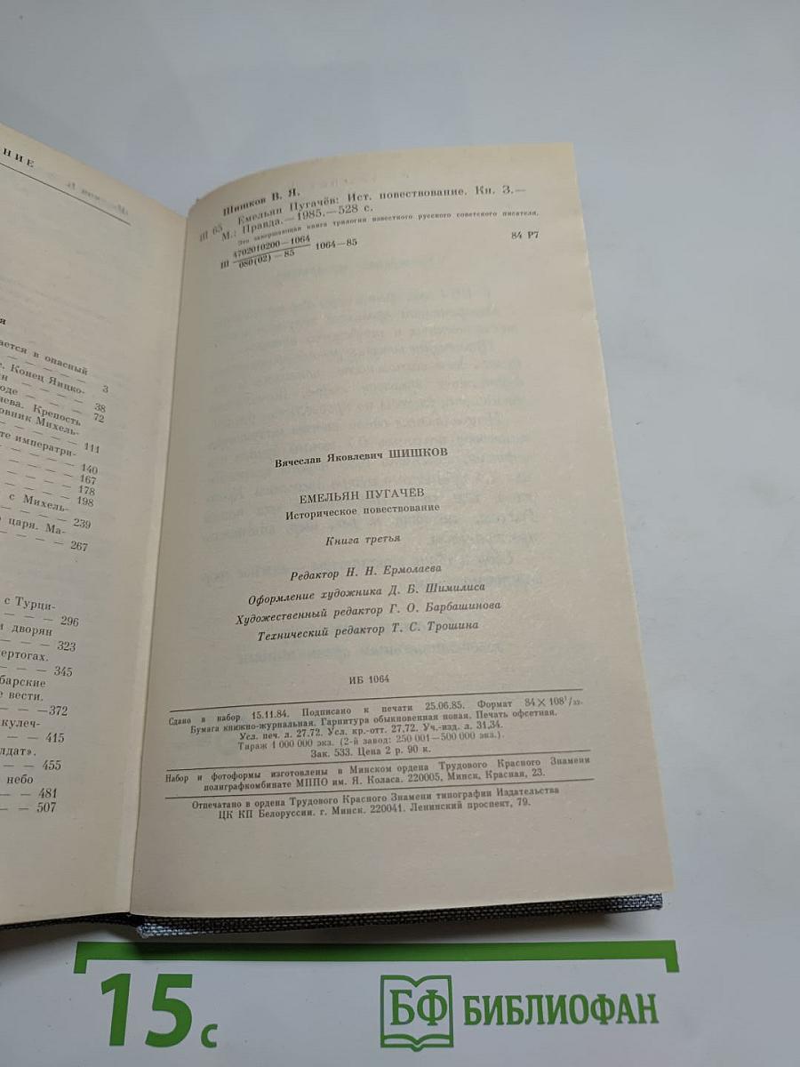 Емельян Пугачев. Книга третья