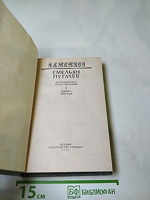 Емельян Пугачев. Книга третья