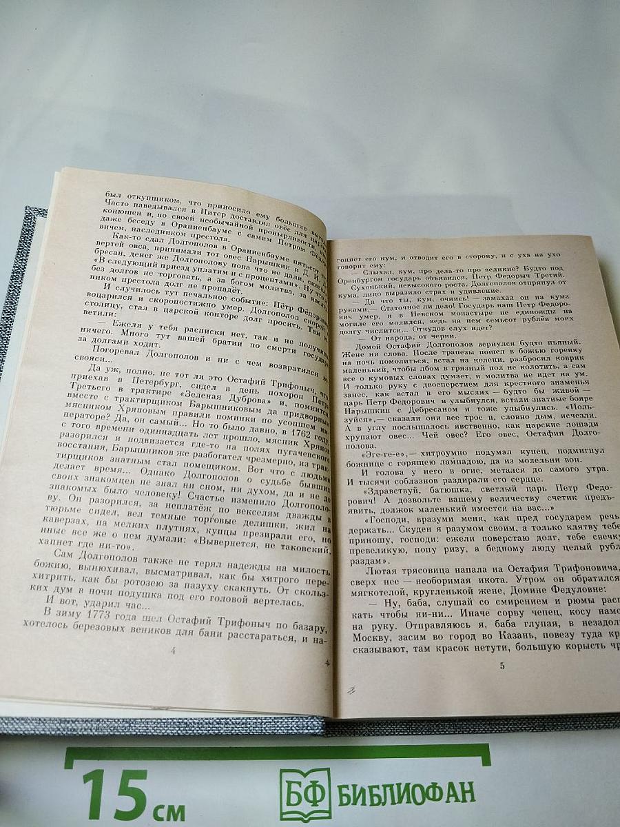 Емельян Пугачев. Книга третья