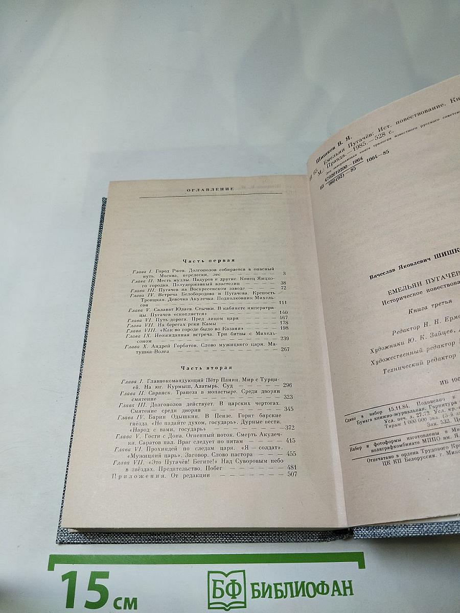 Емельян Пугачев. Книга третья