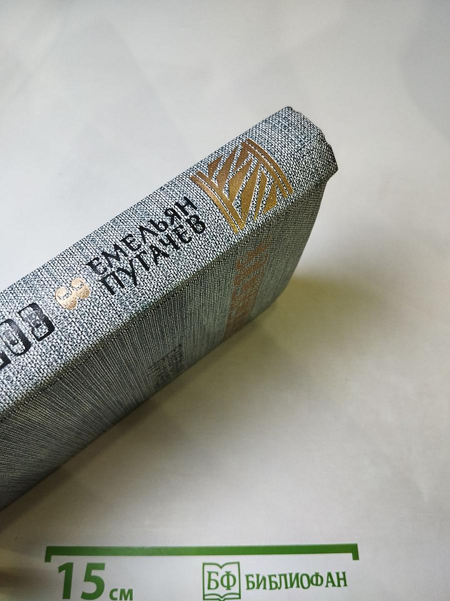 Емельян Пугачев. Книга третья