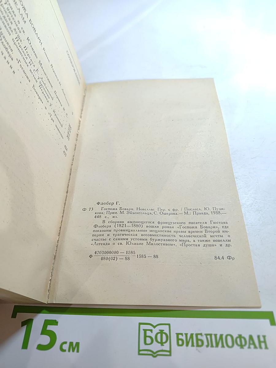 Госпожа Бовари. Новеллы