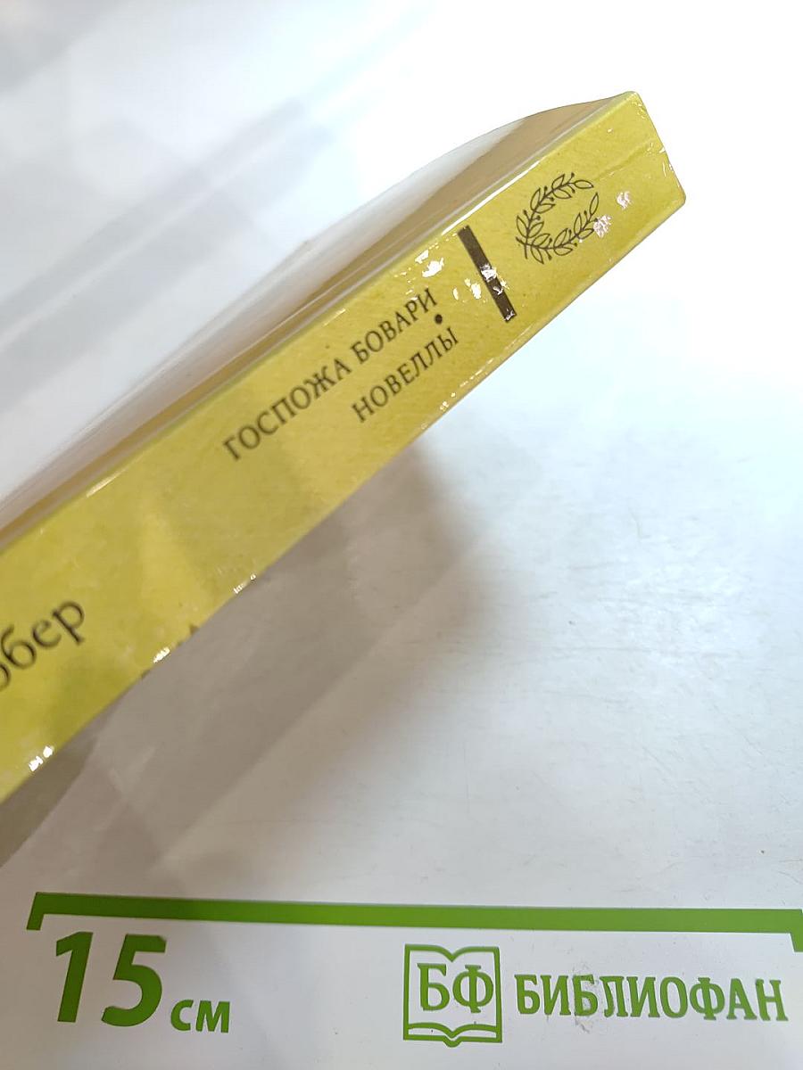 Госпожа Бовари. Новеллы