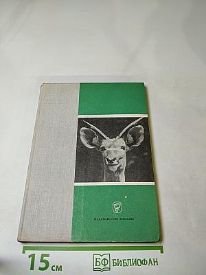 Они принадлежат всем