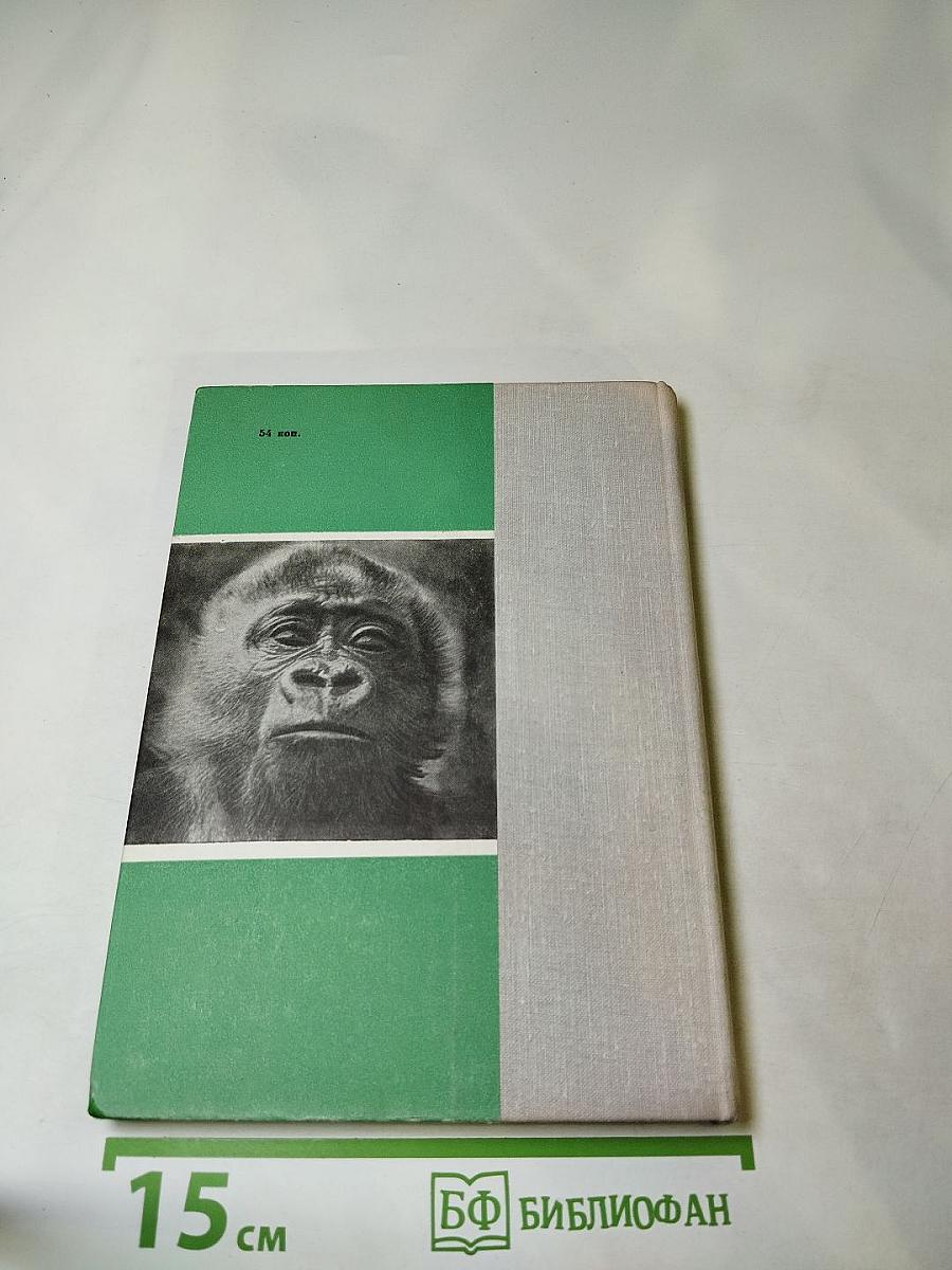 Они принадлежат всем