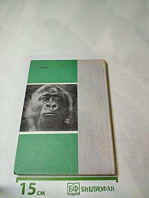 Они принадлежат всем