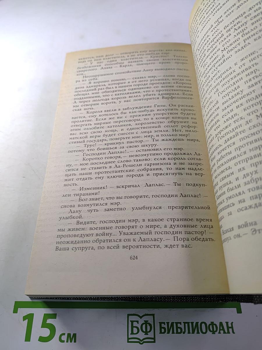 Избранное: Новеллы, Хроника царствования Карла IX