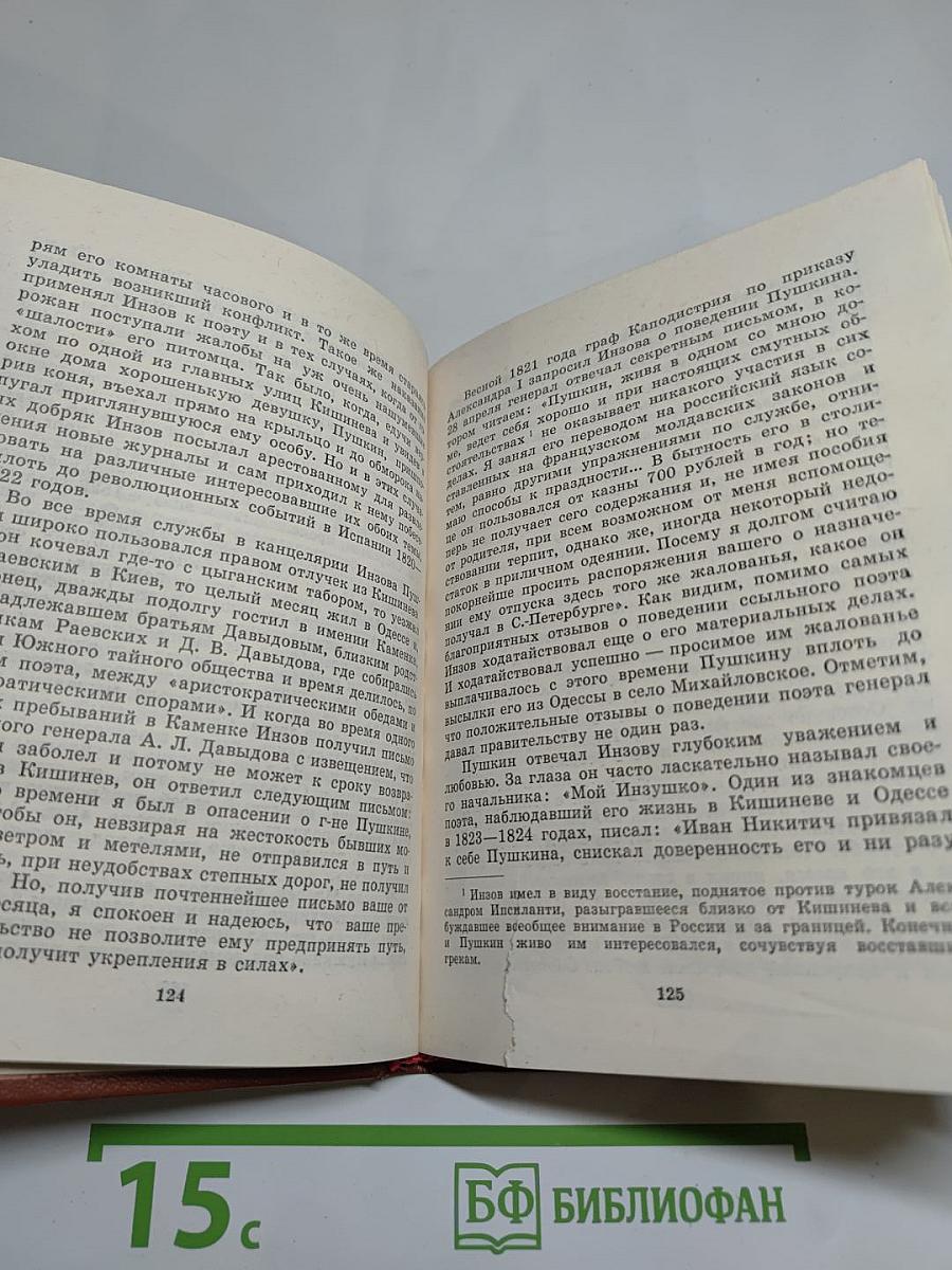 Пушкин и Военная галерея Зимнего дворца