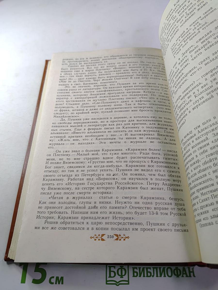 Пушкин в Михайловском