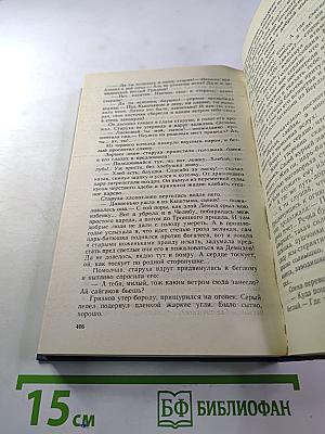 Каменный пояс. Книга вторая. Наследники