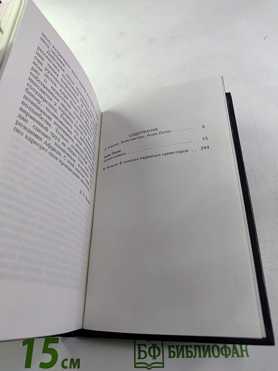 Новый роман