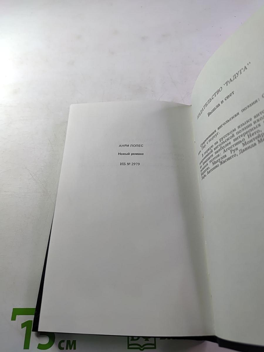 Новый роман