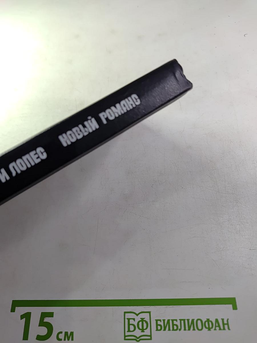 Новый роман