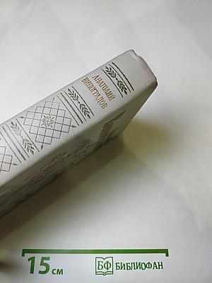 Повесть о братьях Тургеневых. Осуждение Паганини