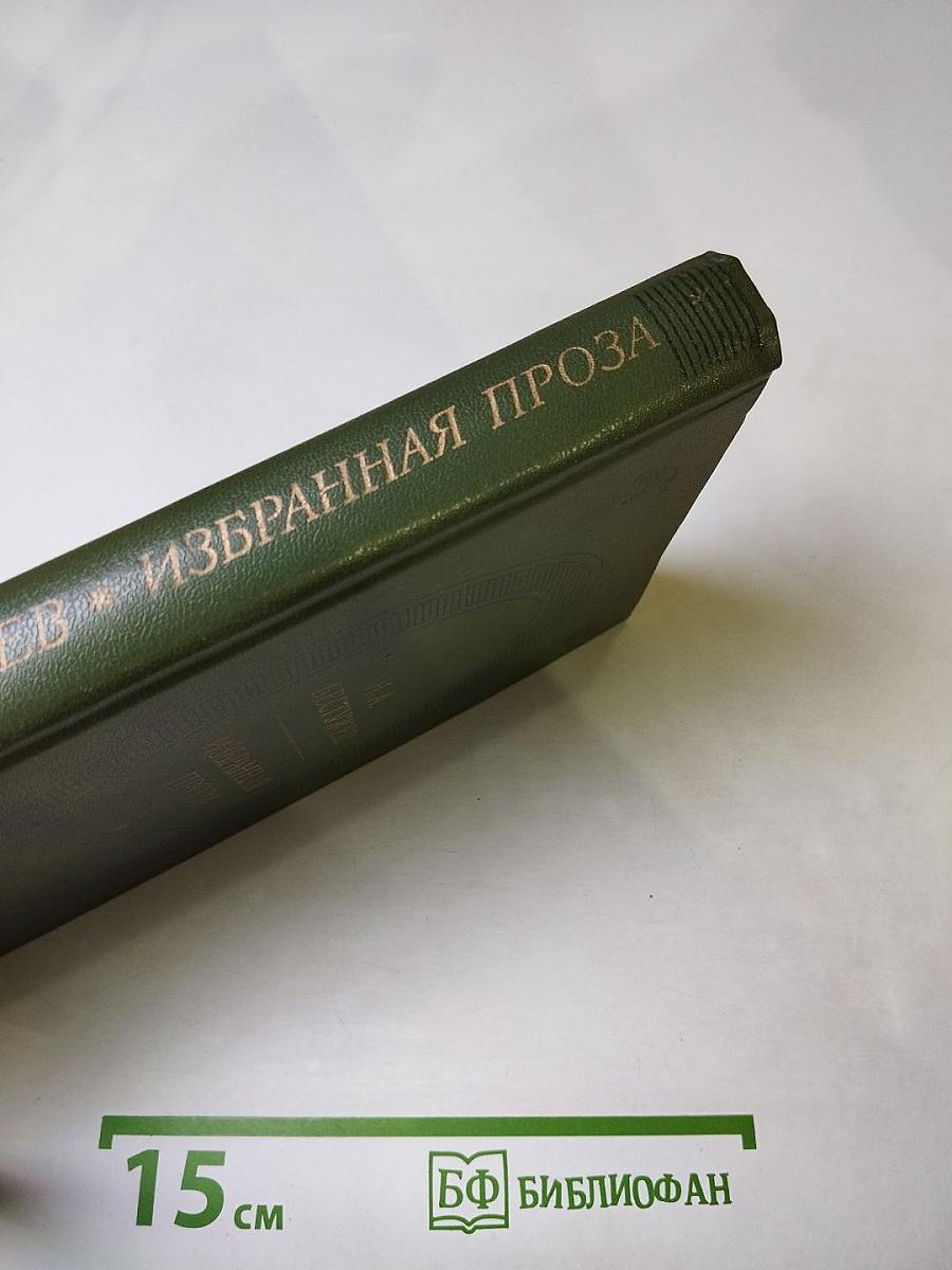 Избранная проза