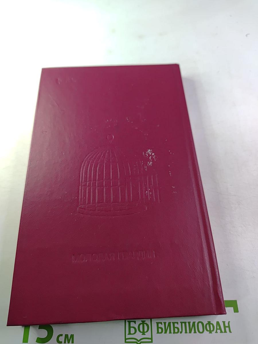 Четверо и новые дни