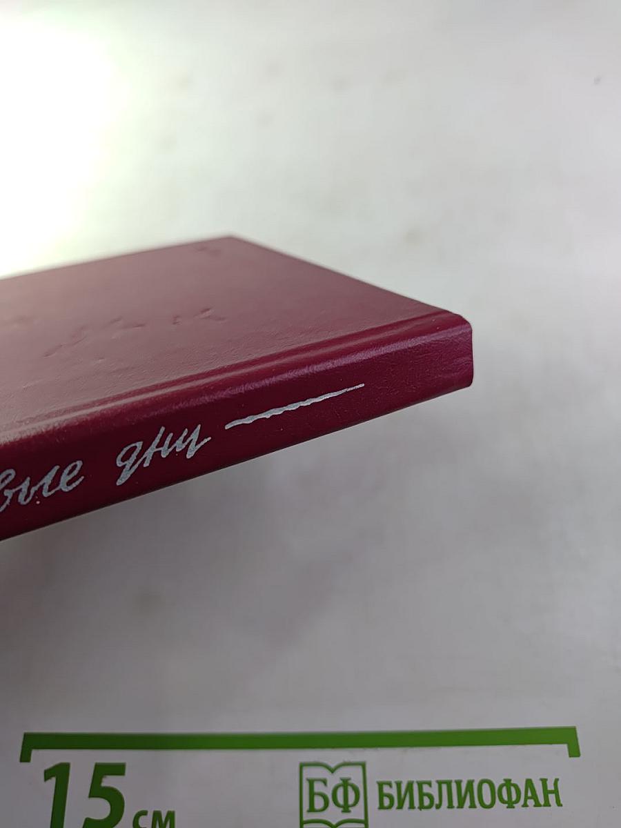 Четверо и новые дни