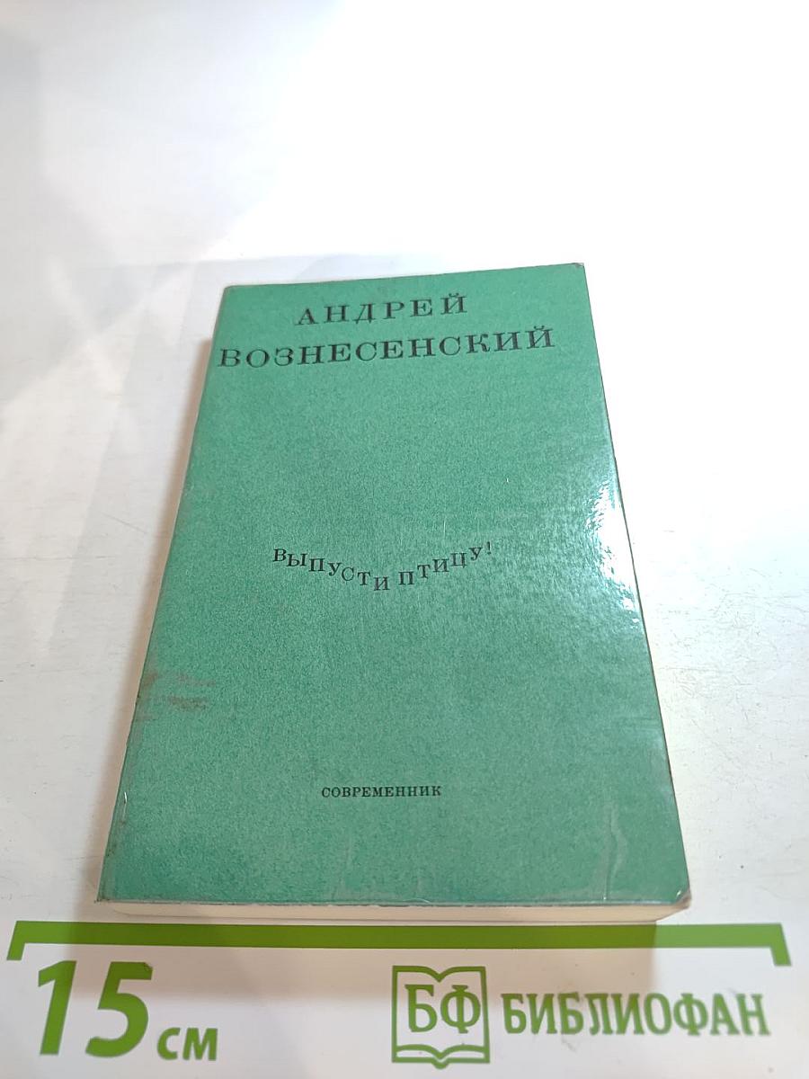 Выпусти птицу!