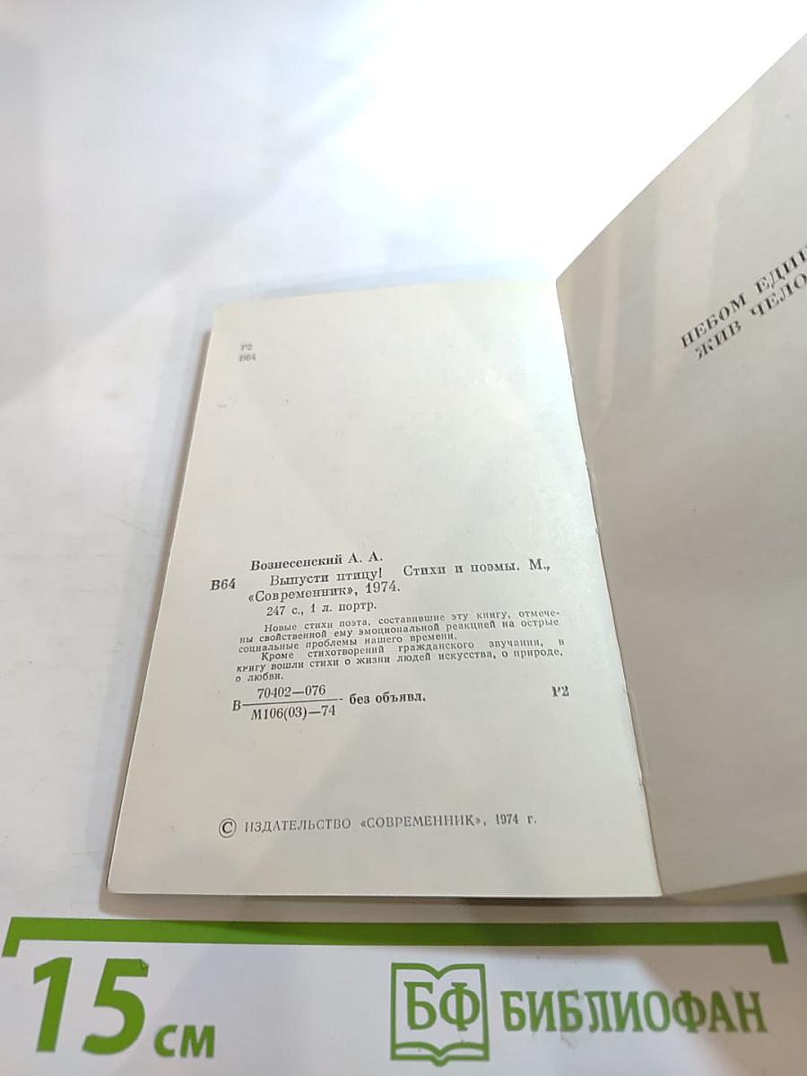 Выпусти птицу!