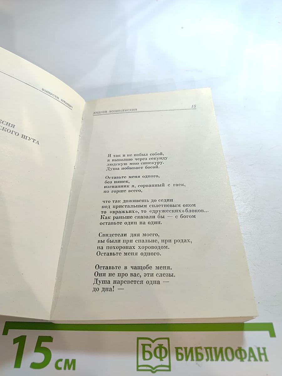 Выпусти птицу!