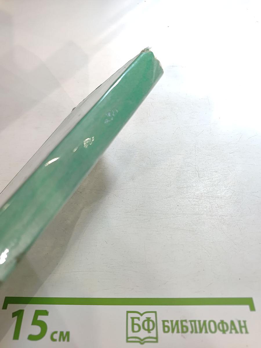 Выпусти птицу!