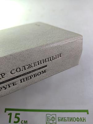 В круге первом