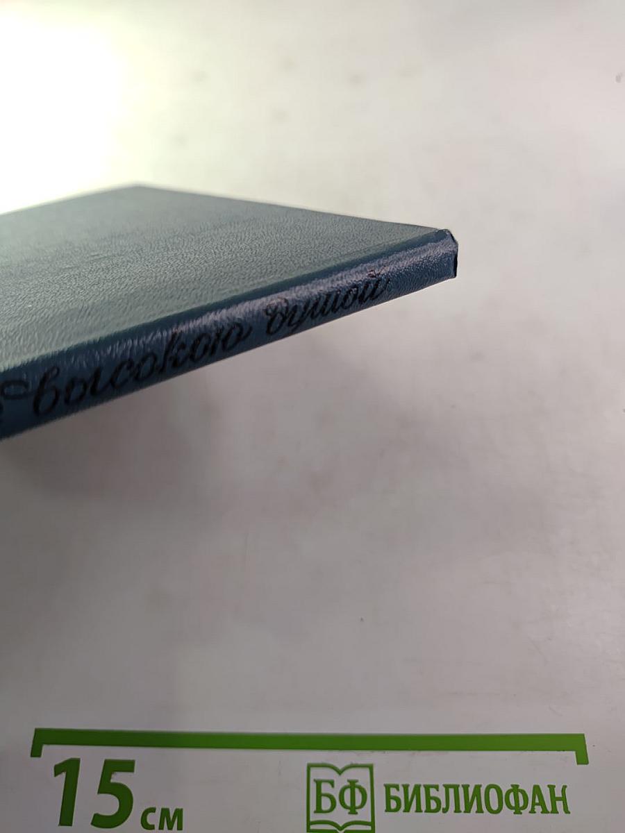 Жил труженик с высокою душой