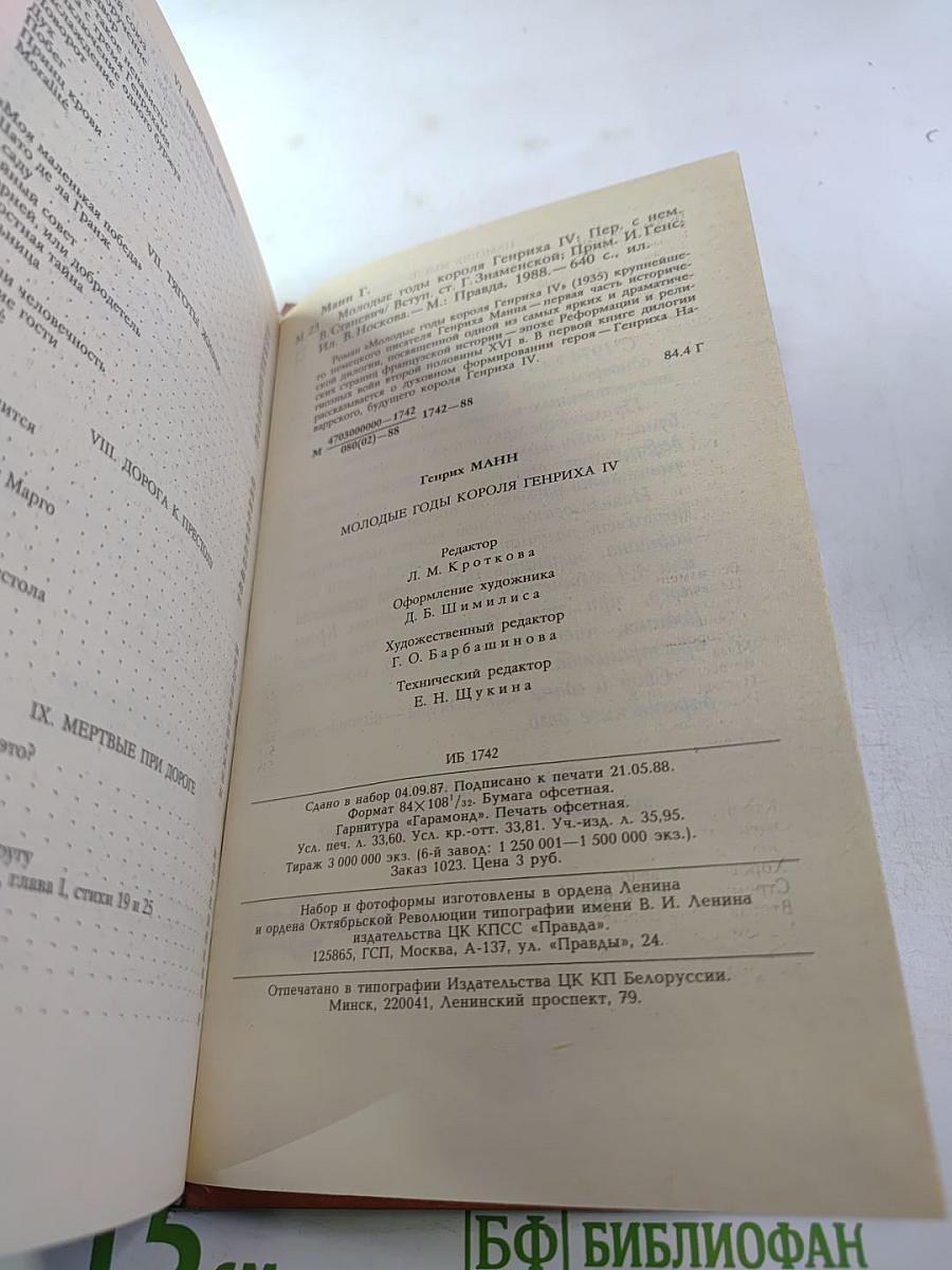 Молодые годы короля Генриха IV