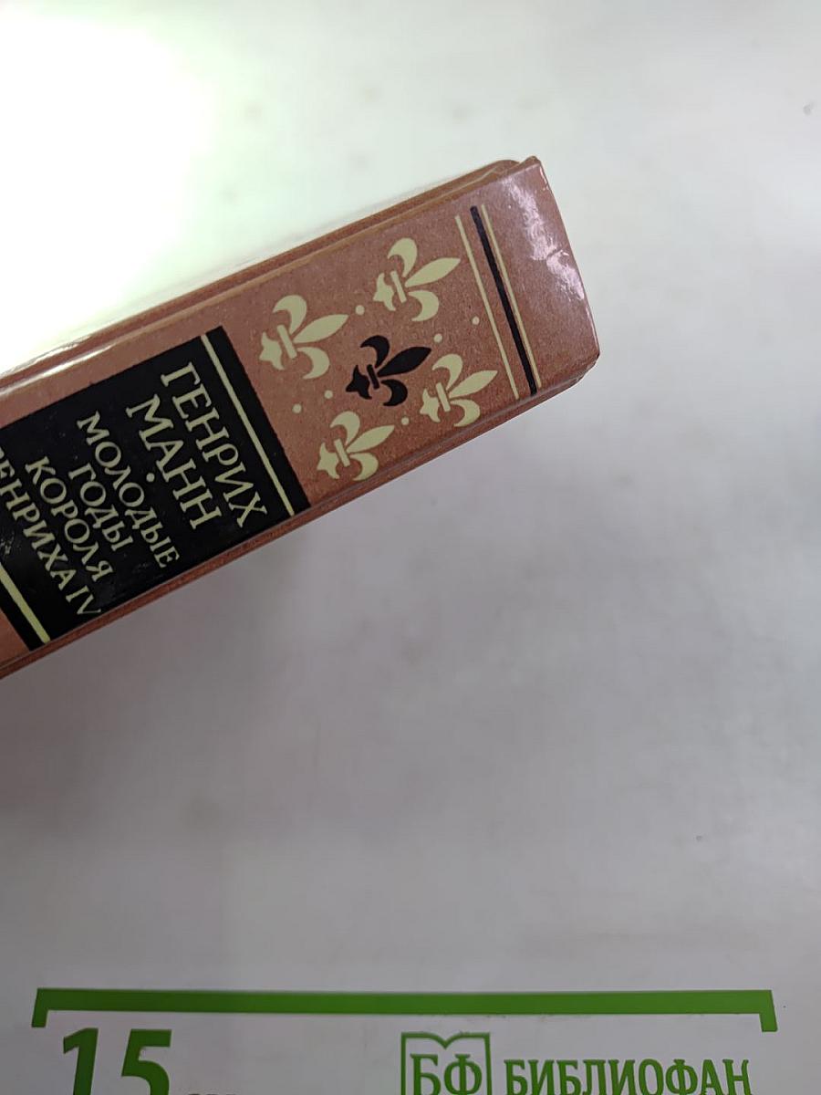 Молодые годы короля Генриха IV