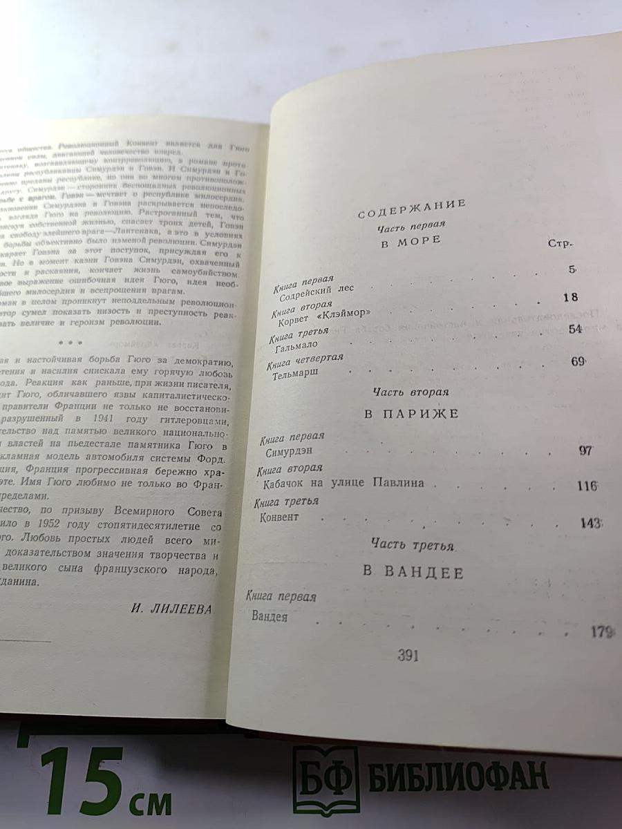 Девяносто третий год