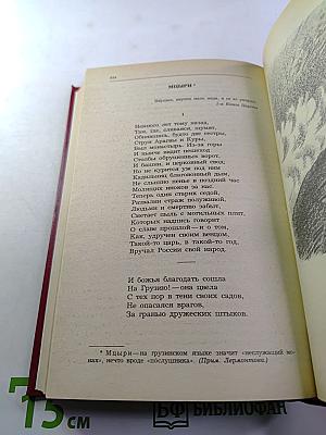 Русская романтическая поэма