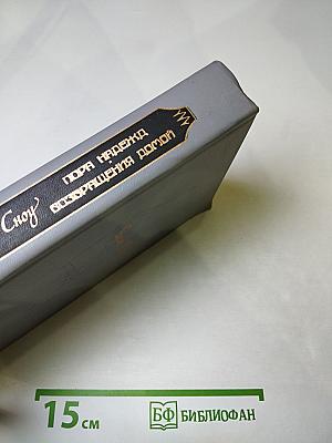 Пора надежд. Возвращения домой