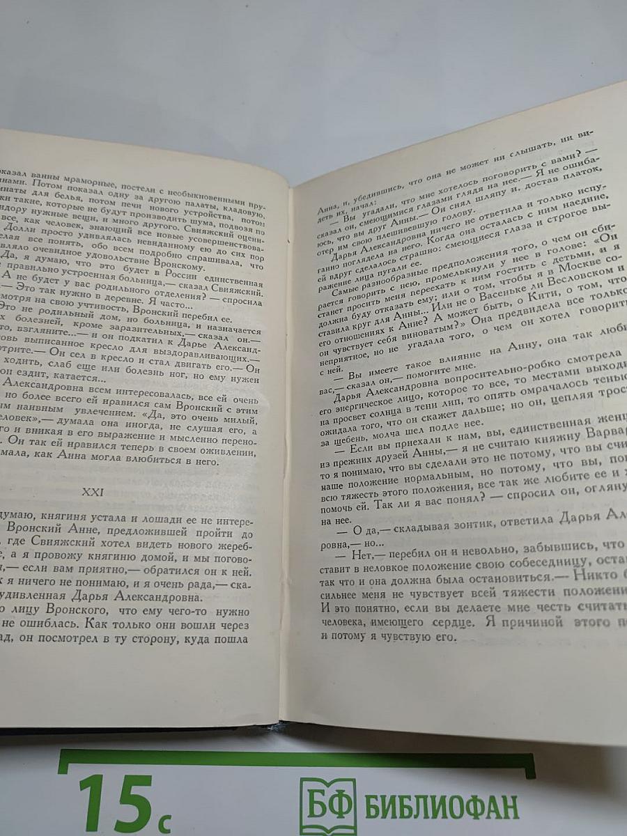 Анна Каренина. Роман в восьми частях (Том девятый)
