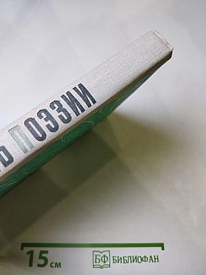 День поэзии