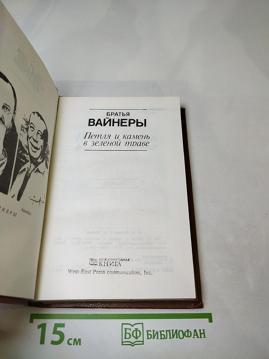 Петля и камень в зеленой траве